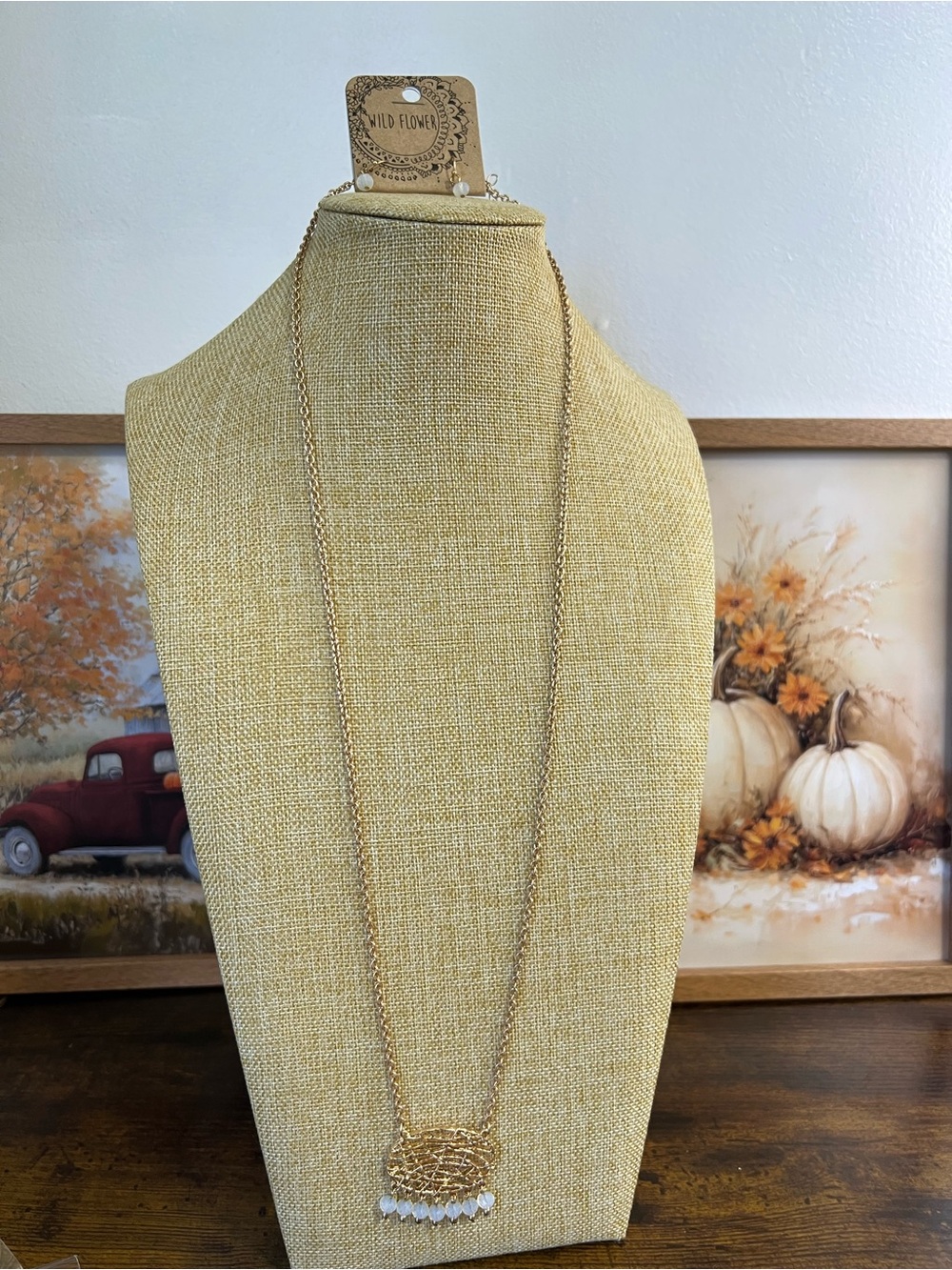Necklace on display